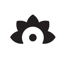 Regina Ferrari ❋ Coach Holística